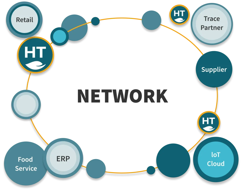 Diagram showing the big picture of the whole traceability network